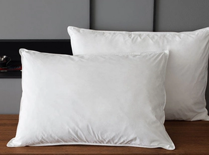 SWISSÔTEL GOOSE FEATHER & DOWN PILLOW